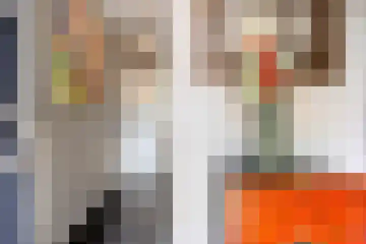 Bosveld 322 Uden thumbnail 6
