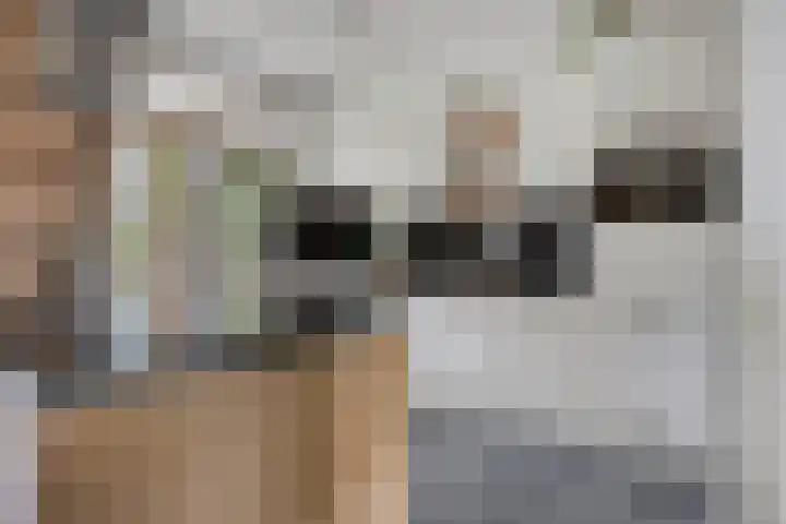 Bosveld 322 Uden thumbnail 8