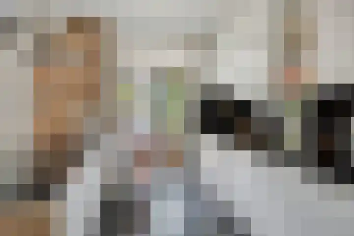Bosveld 322 Uden thumbnail 9
