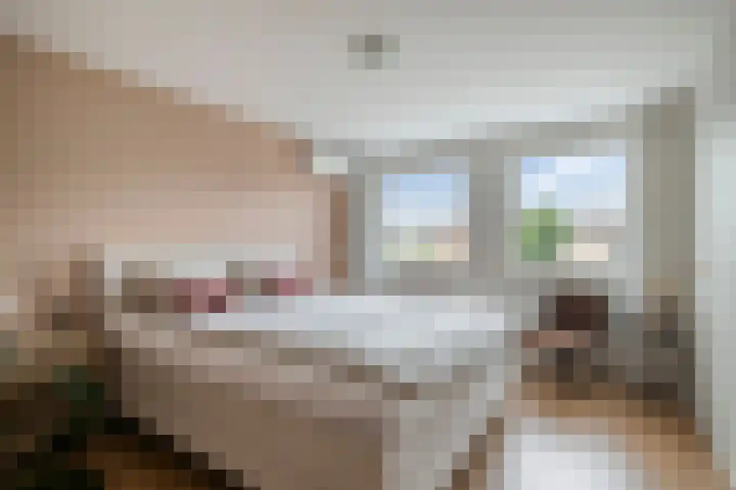 Bosveld 401 Uden thumbnail 19