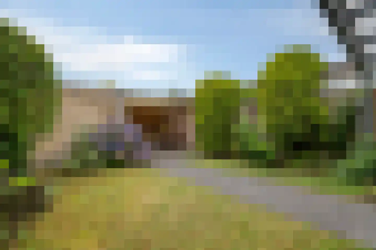 Bosveld 401 Uden thumbnail 36