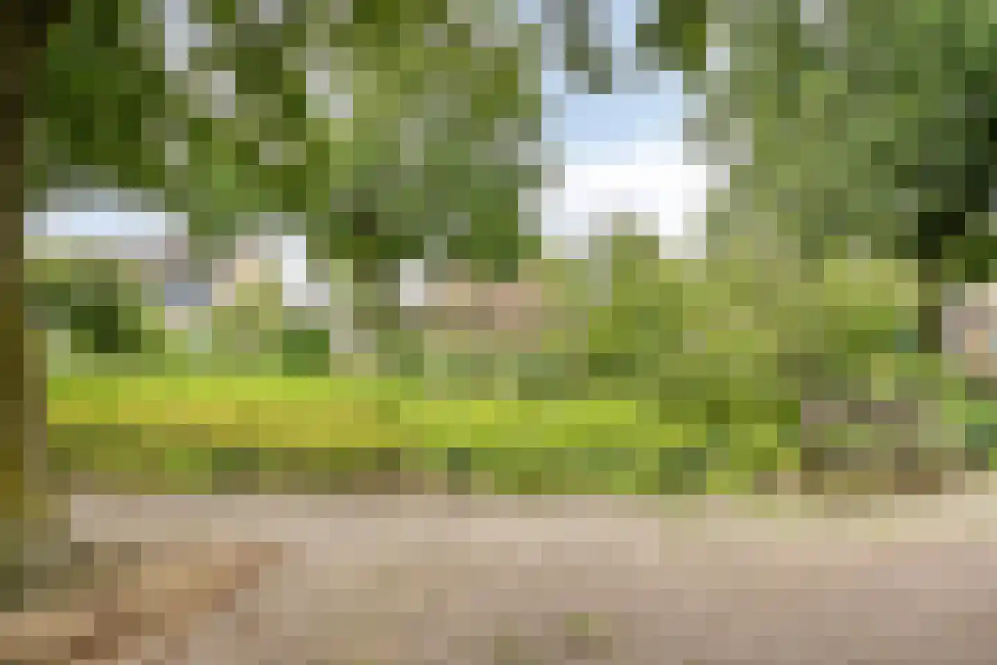 Bosveld 401 Uden thumbnail 42