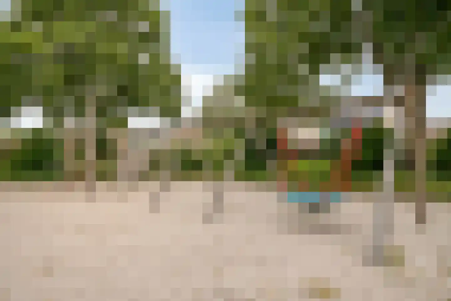 Bosveld 401 Uden thumbnail 43