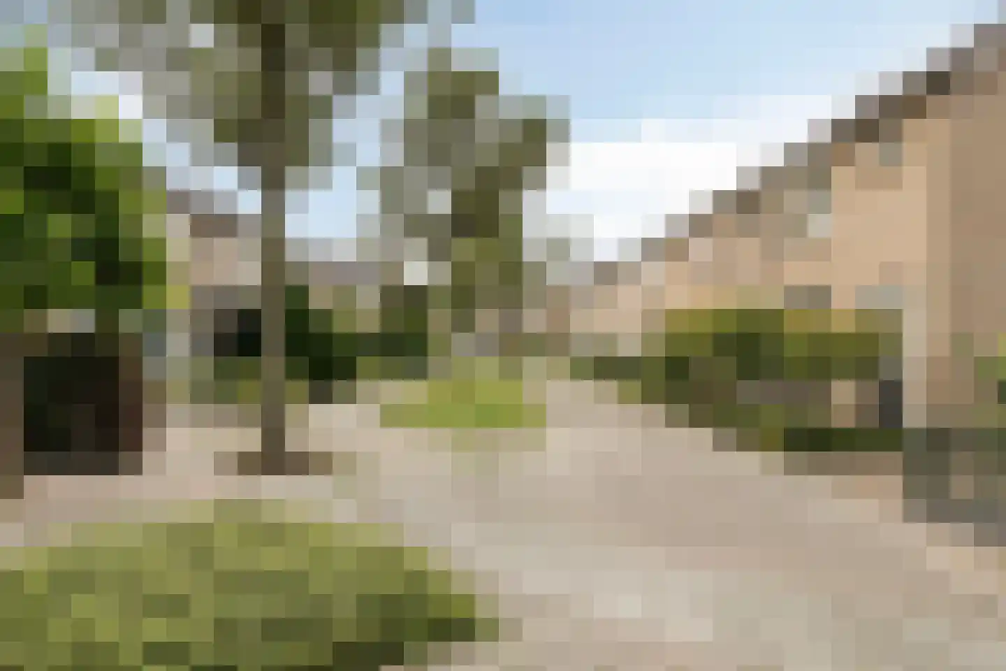 Bosveld 401 Uden thumbnail 45