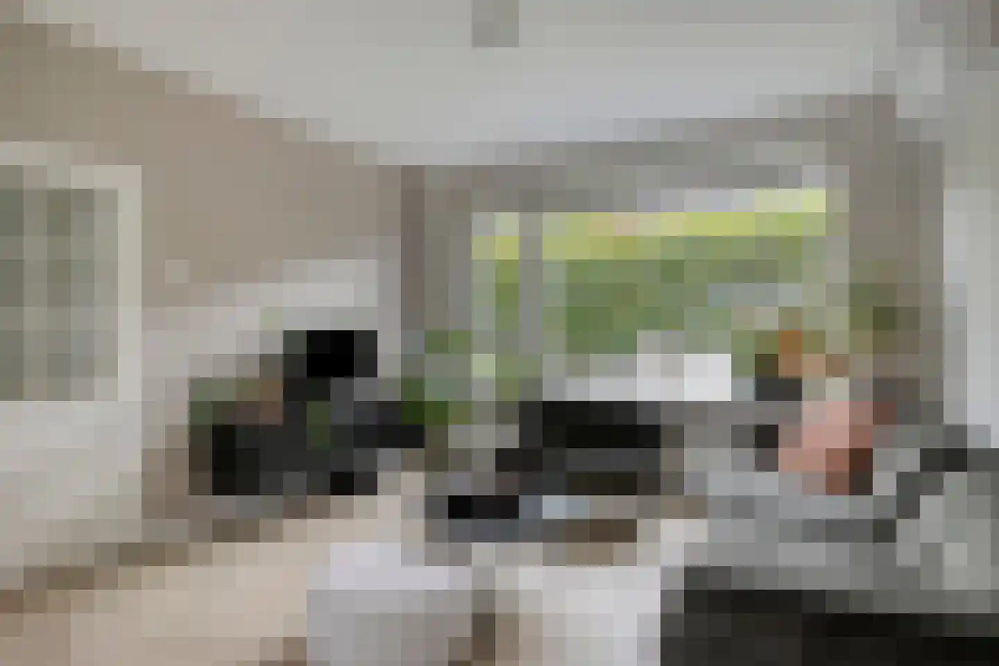 Bosveld 401 Uden thumbnail 9