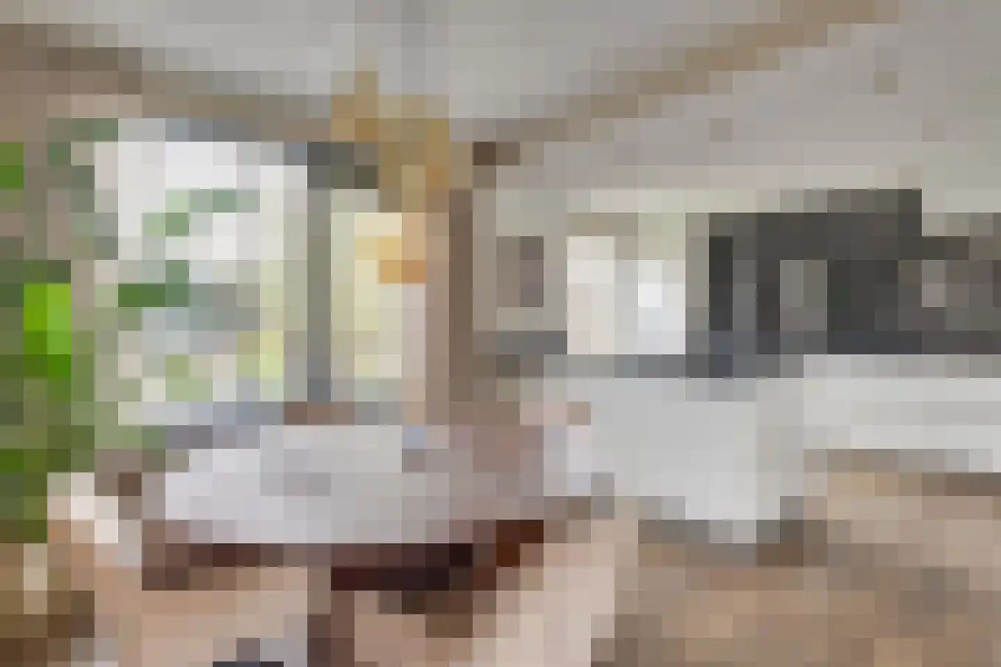 Bosveld 409 Uden thumbnail 12