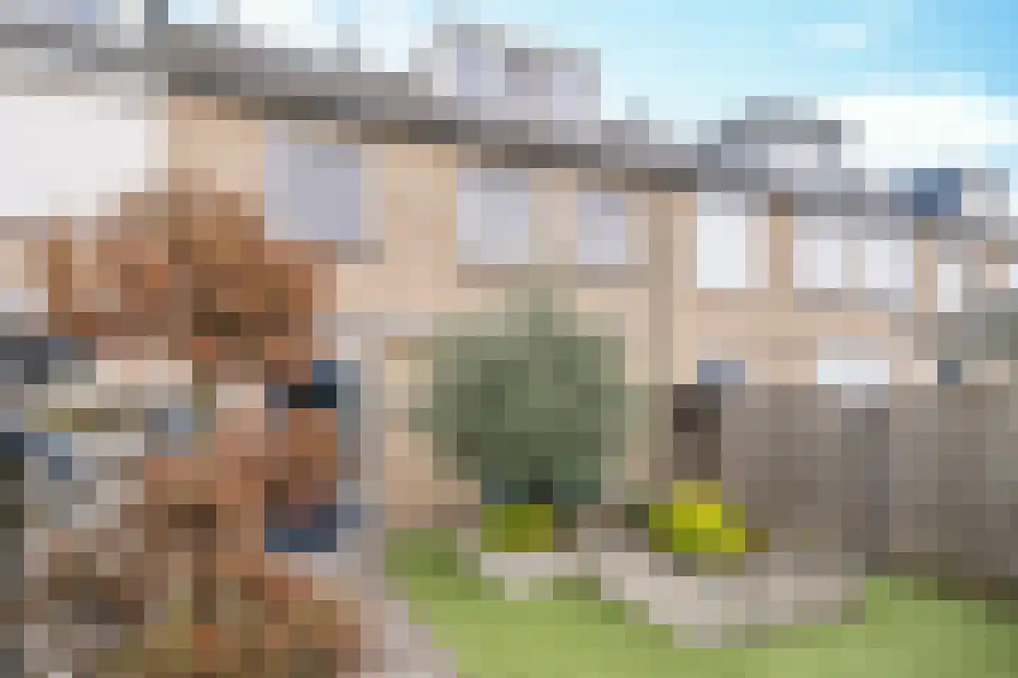 Bosveld 409 Uden thumbnail 22