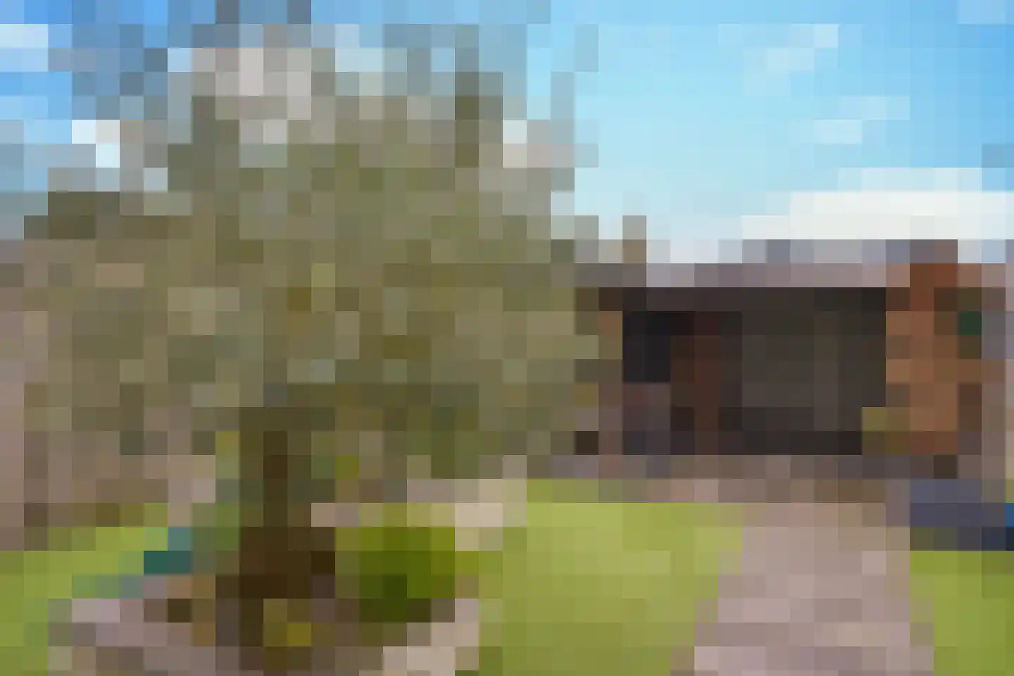 Bosveld 409 Uden thumbnail 24