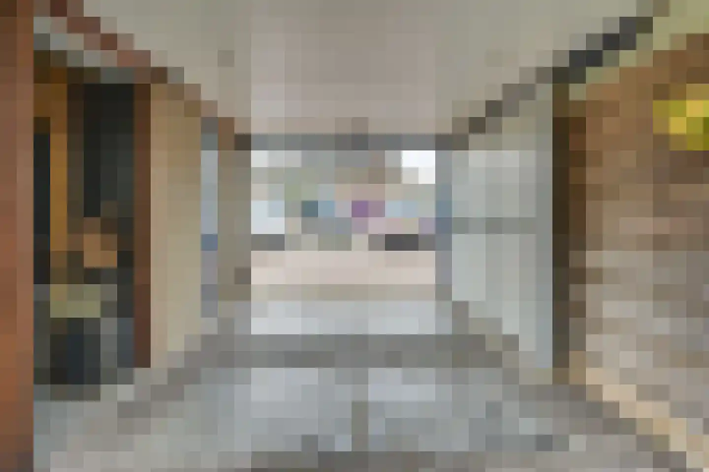 Bosveld 409 Uden thumbnail 26