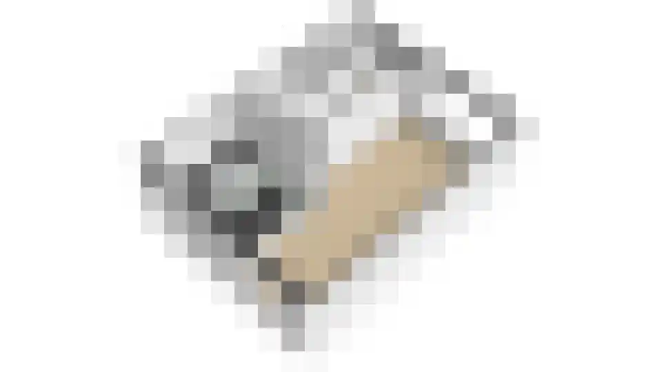 Bosveld 409 Uden thumbnail 29