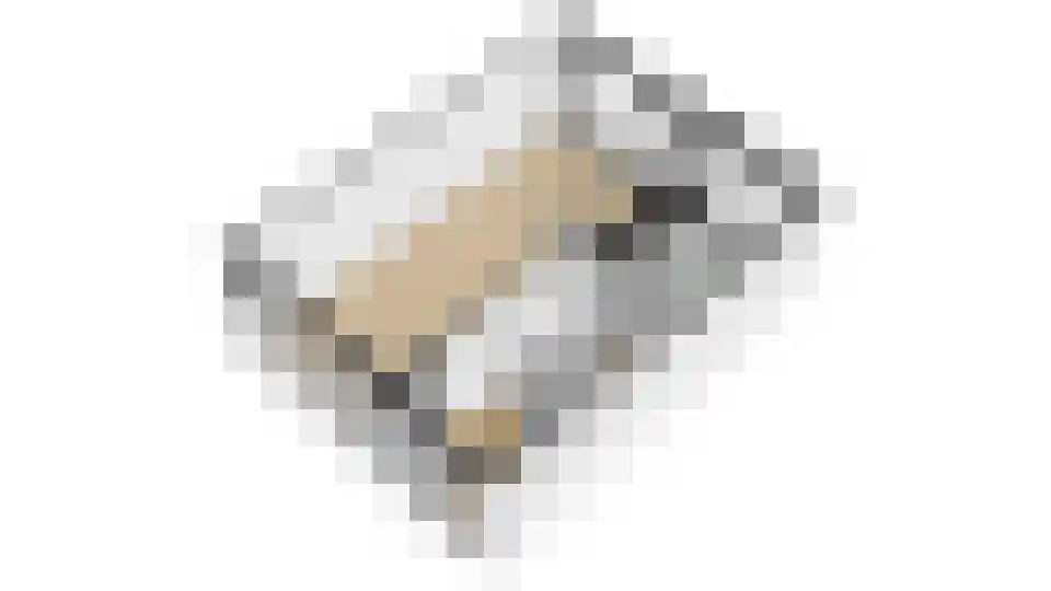Bosveld 409 Uden thumbnail 30