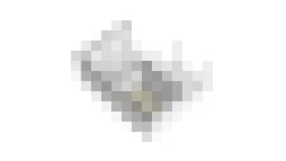 Bosveld 409 Uden thumbnail 38