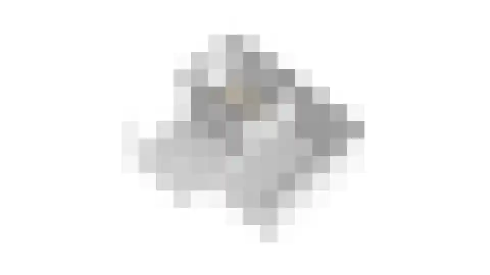 Bosveld 409 Uden thumbnail 39