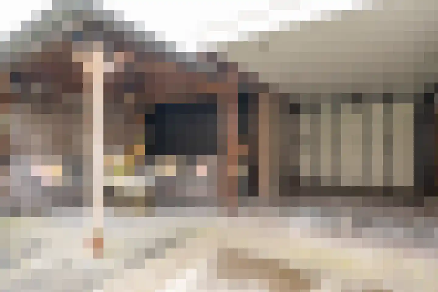 Bosveld 409 Uden thumbnail 5