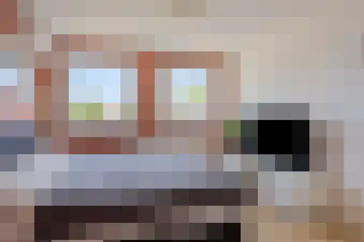Bosveld 414 Uden thumbnail 11