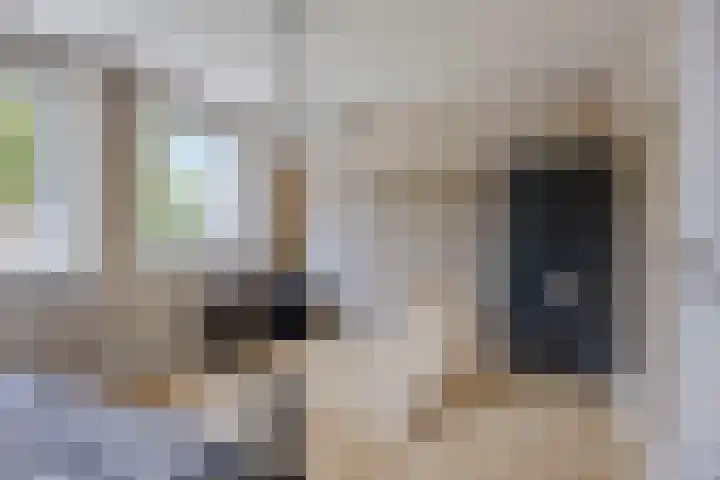 Bosveld 414 Uden thumbnail 12