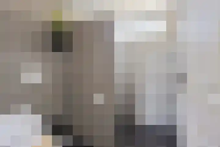 Bosveld 414 Uden thumbnail 14