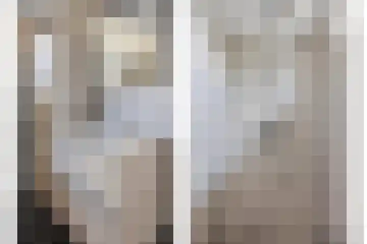 Bosveld 414 Uden thumbnail 15