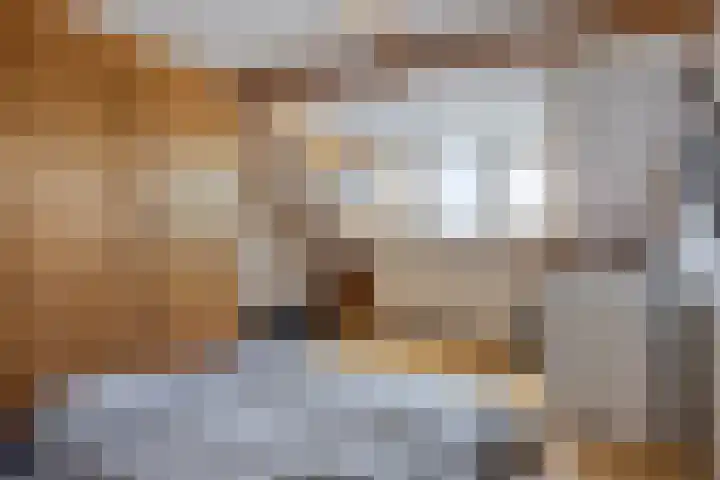 Bosveld 414 Uden thumbnail 18