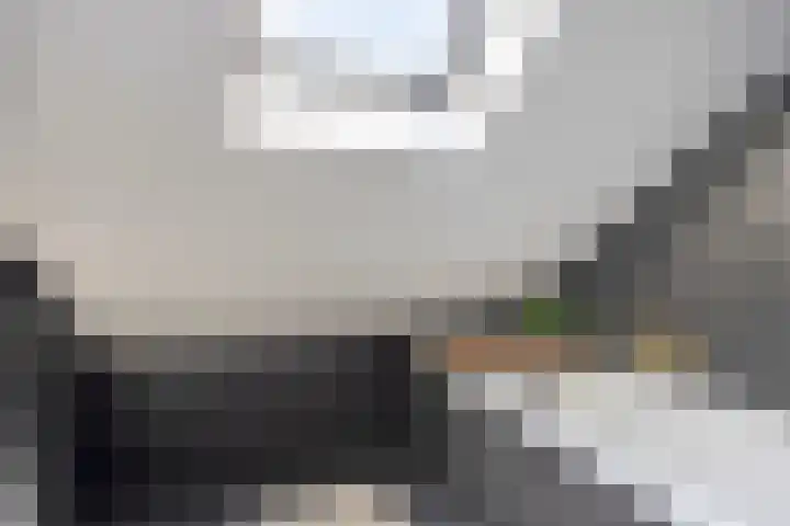 Bosveld 414 Uden thumbnail 19