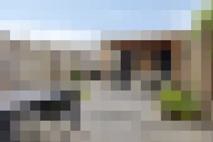 Bosveld 414 Uden thumbnail 20
