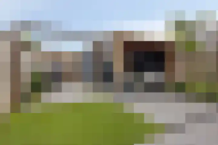 Bosveld 414 Uden thumbnail 21