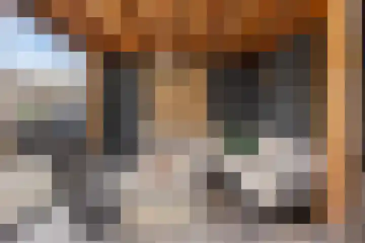 Bosveld 414 Uden thumbnail 22