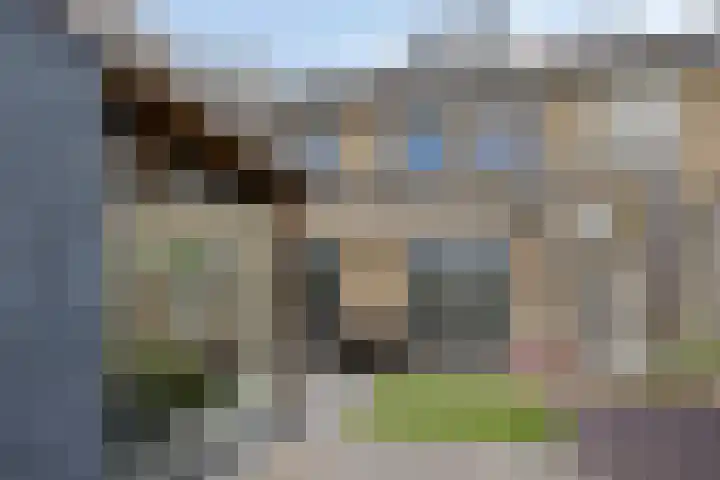 Bosveld 414 Uden thumbnail 23