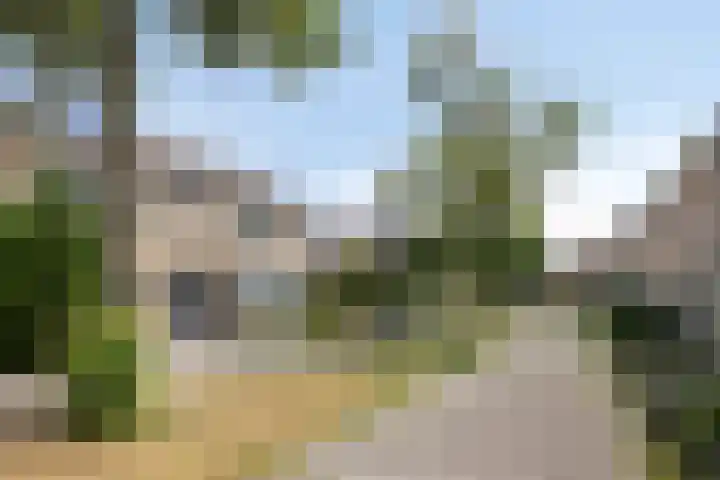 Bosveld 414 Uden thumbnail 25