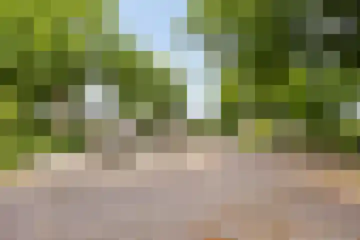 Bosveld 414 Uden thumbnail 26