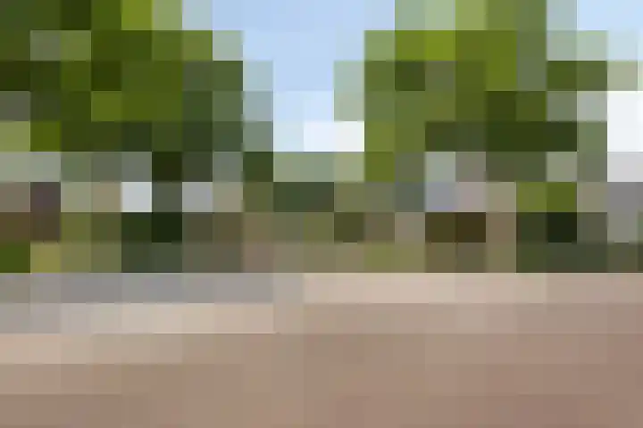 Bosveld 414 Uden thumbnail 27
