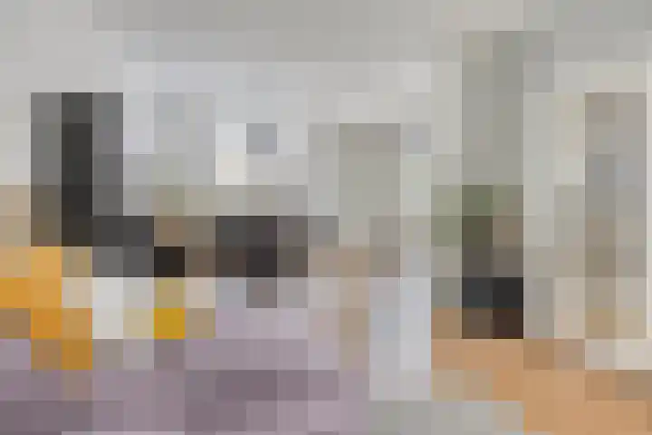 Bosveld 414 Uden thumbnail 6
