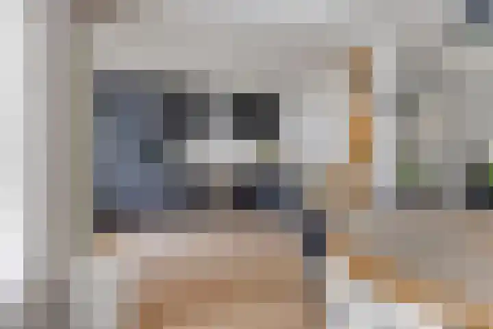 Bosveld 414 Uden thumbnail 7
