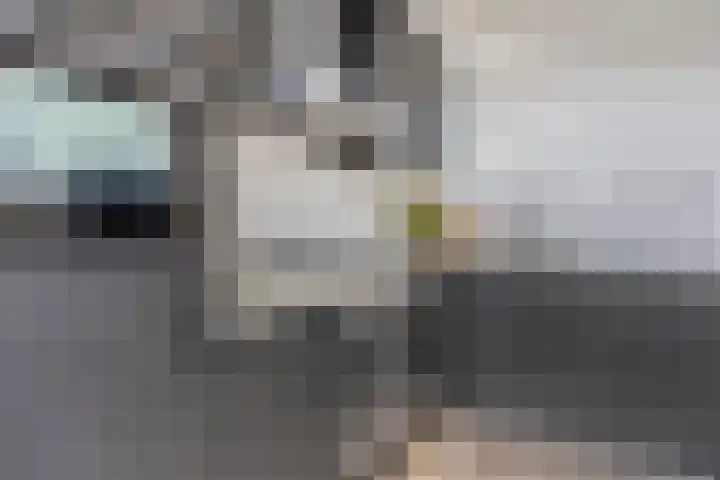 Bosveld 414 Uden thumbnail 9