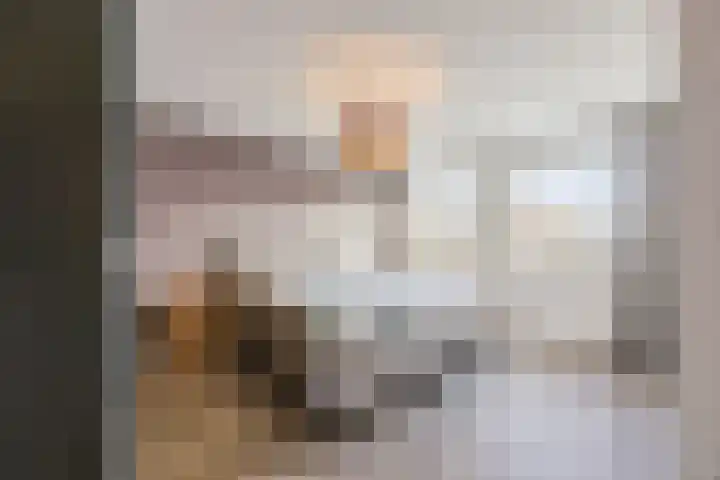 Bosveld 424 Uden thumbnail 16