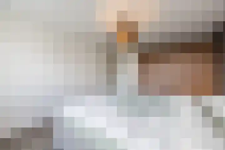 Bosveld 424 Uden thumbnail 17