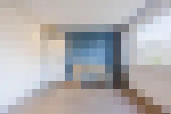 Bosveld 424 Uden thumbnail 19