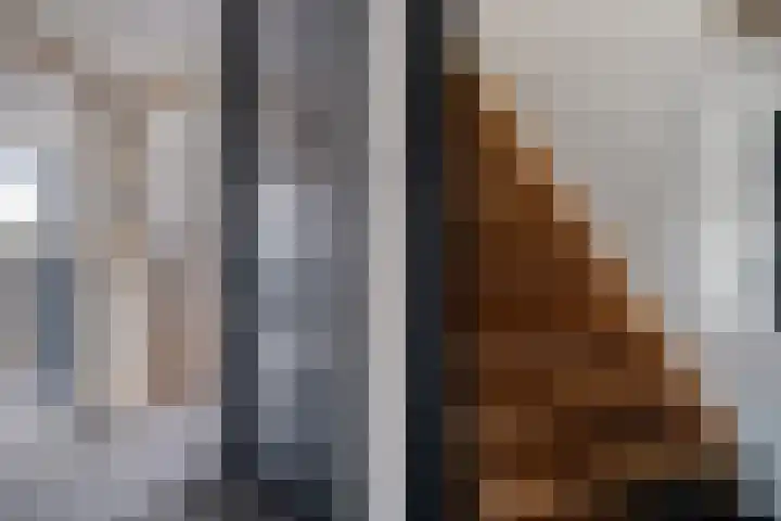 Bosveld 424 Uden foto 2