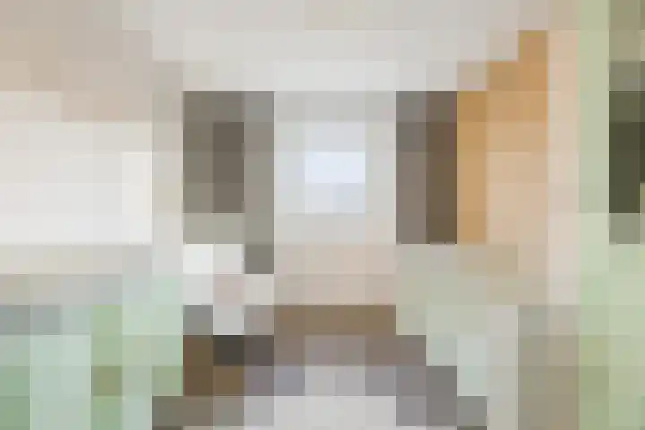 Bosveld 424 Uden thumbnail 20