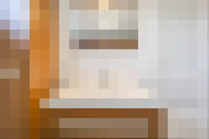 Bosveld 424 Uden thumbnail 23