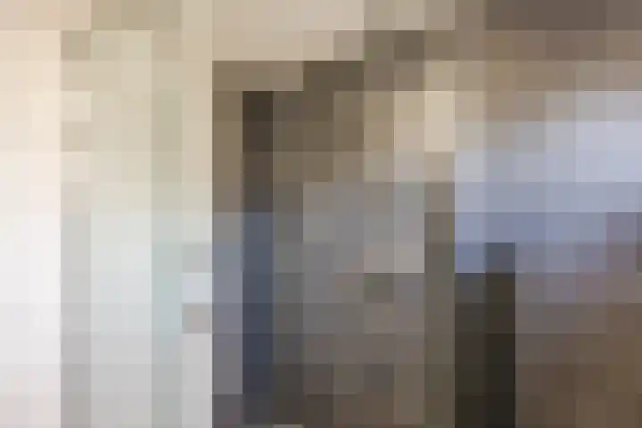 Bosveld 424 Uden thumbnail 24