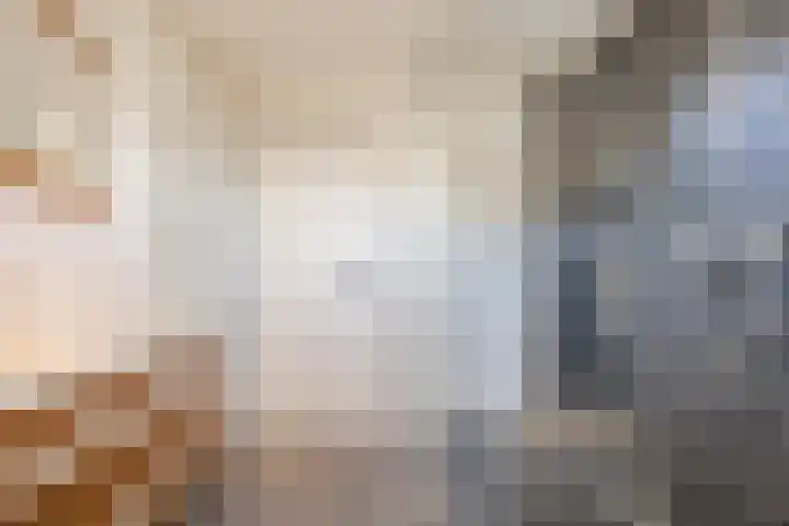 Bosveld 424 Uden thumbnail 25