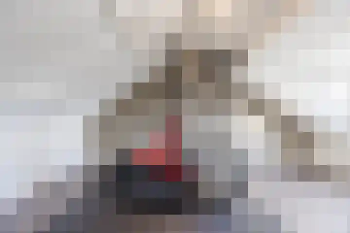Bosveld 424 Uden thumbnail 29