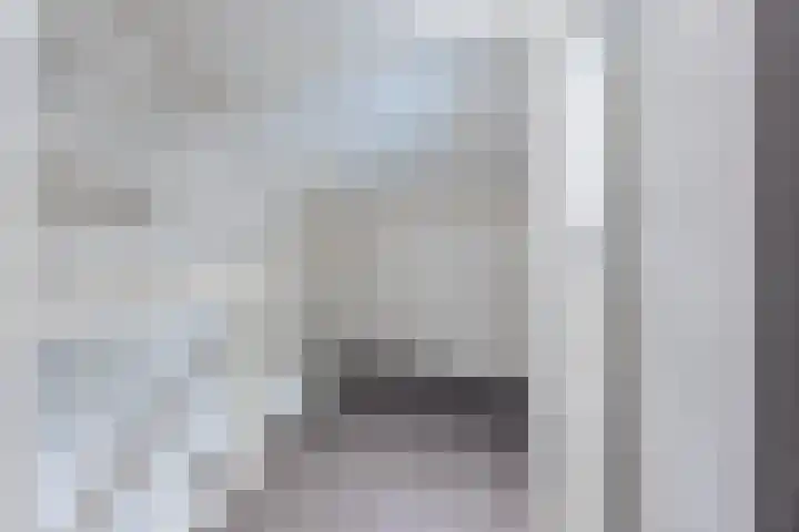 Bosveld 424 Uden thumbnail 31