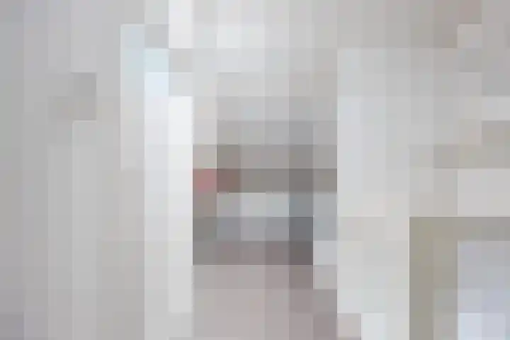 Bosveld 424 Uden thumbnail 32