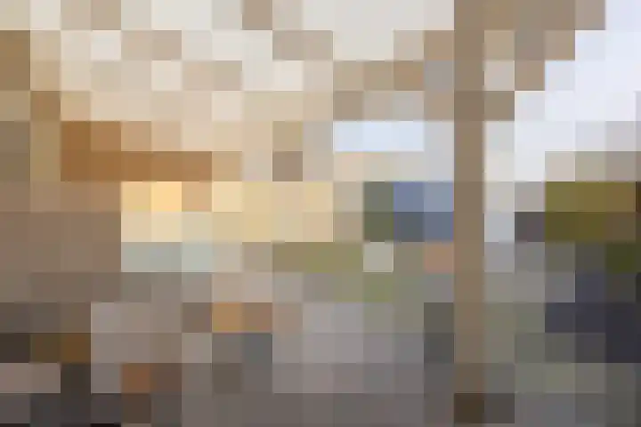 Bosveld 424 Uden thumbnail 33