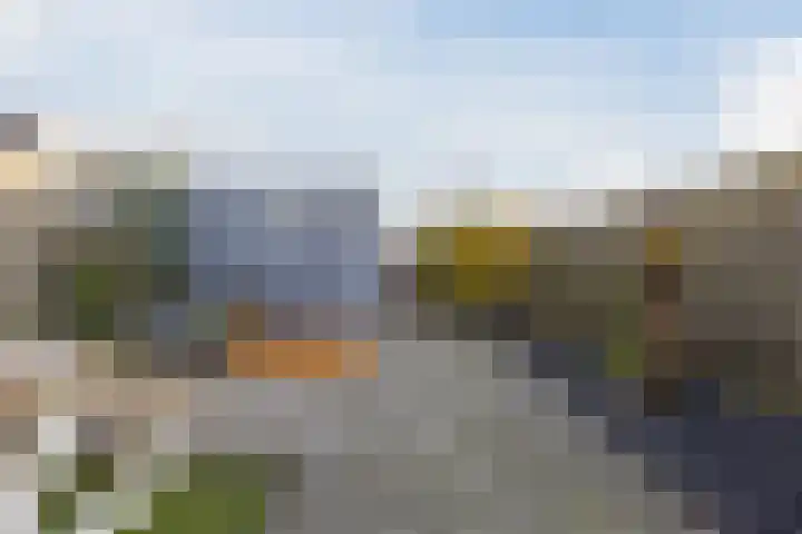 Bosveld 424 Uden thumbnail 35