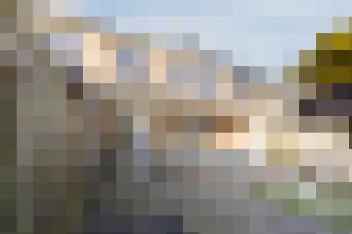 Bosveld 424 Uden thumbnail 36