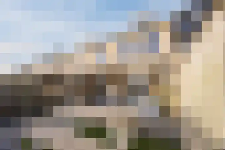 Bosveld 424 Uden thumbnail 37