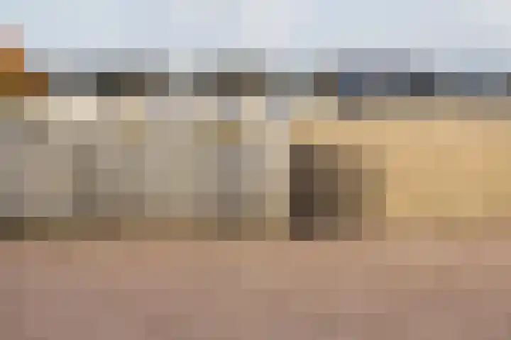 Bosveld 424 Uden thumbnail 38